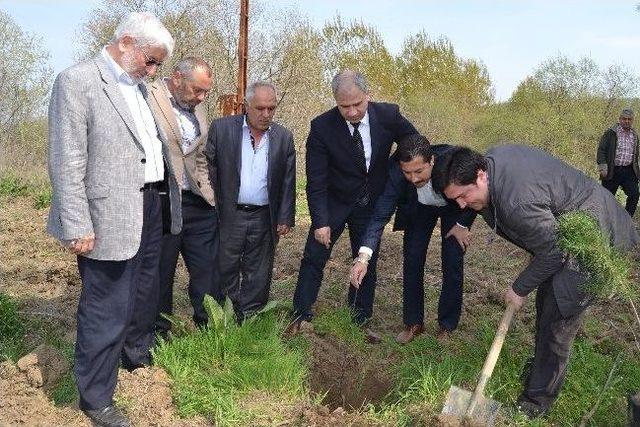 Ormanlar Polislerle Yeşeriyor 1