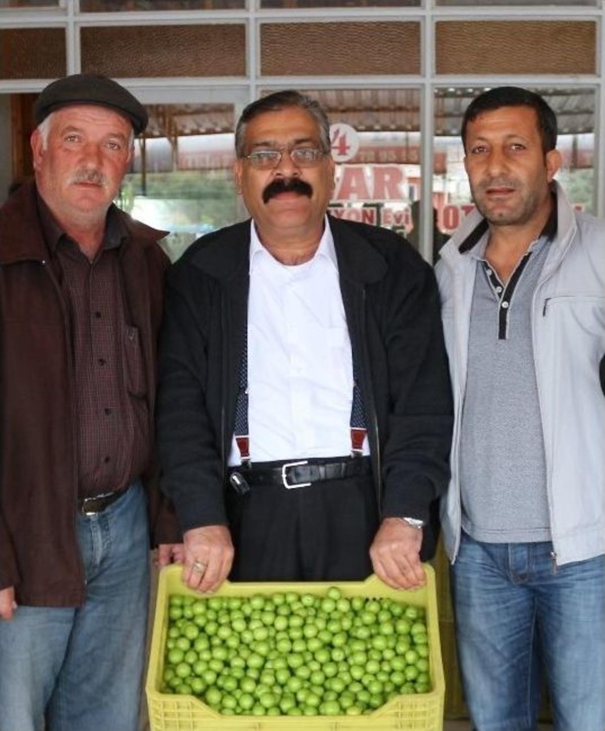 Erik, &Uuml;reticinin Y&uuml;z&uuml;n&uuml; G&uuml;ld&uuml;rd&uuml;