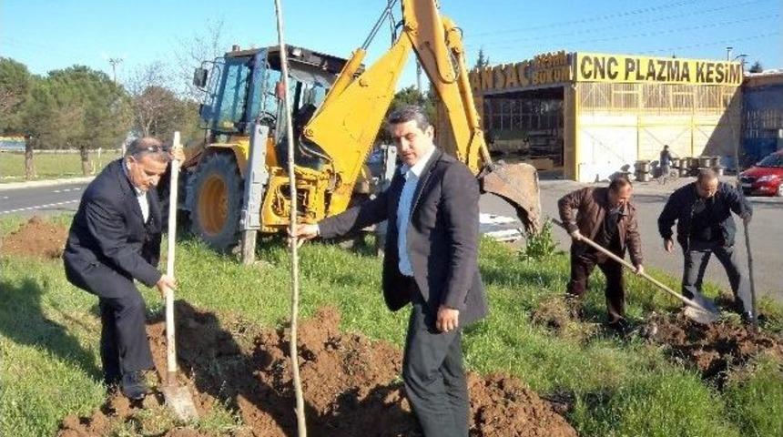 &Ccedil;orlu'da Ağa&ccedil;landırma &Ccedil;alışmaları Devam Ediyor