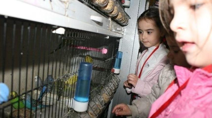 Minikler Kendi Balıklarını Se&ccedil;tiler