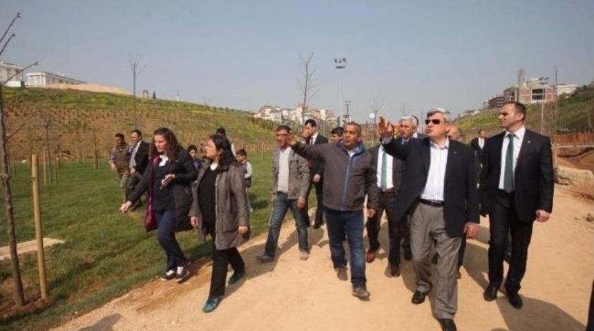 Başkan Karaosmanoğlu, Tatlıkuyu Vadisi'ni İnceledi