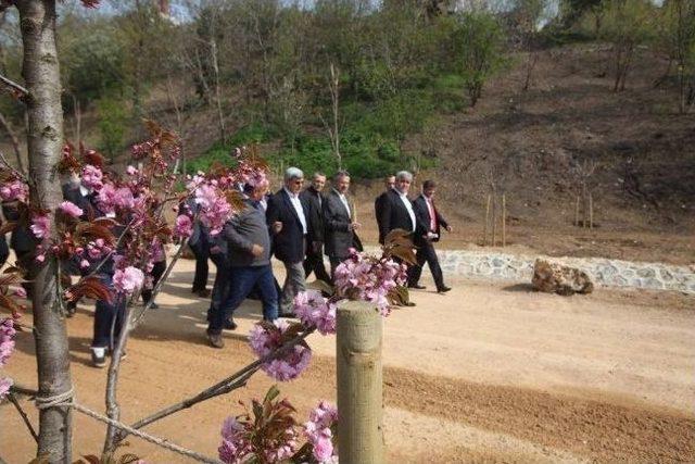 Başkan Karaosmanoğlu, Tatlıkuyu Vadisi'ni İnceledi