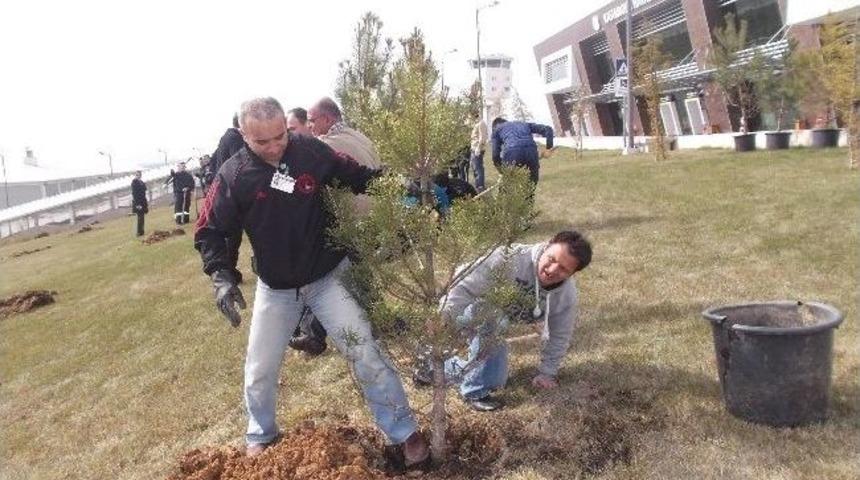 Havalimanına 500 Adet Fidan Dikildi