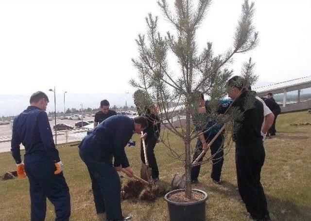 Havalimanına 500 Adet Fidan Dikildi 1