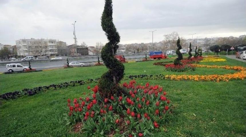 Bağcılar, Lale Geleneğini S&uuml;rd&uuml;r&uuml;yor