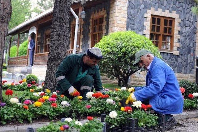 Bağcılar, Lale Geleneğini Sürdürüyor