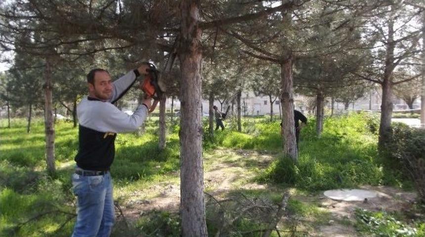 Muratlı Belediye Parkı A&ccedil;ılışa Hazırlanıyor