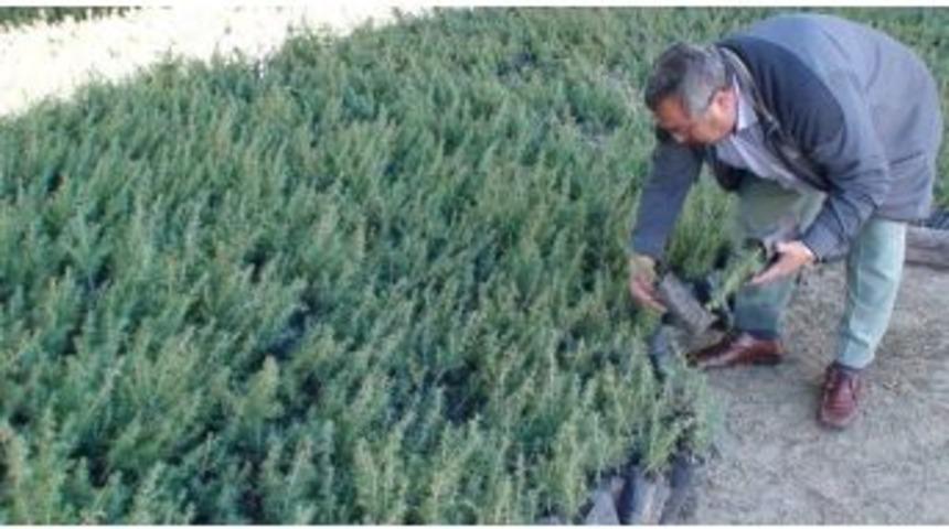 2014 Yılı Aşı &Ccedil;alışmaları Tamamlandı