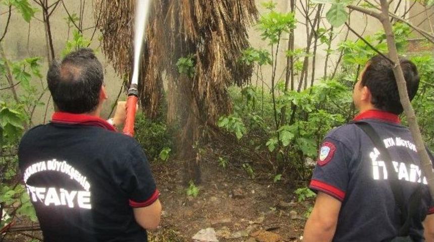 Sigara İzmaritinden &Ccedil;ıkan Yangın Korkuttu