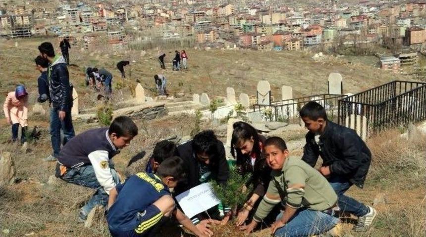 Hakkari&rsquo;de Yeşillendirme &Ccedil;alışmaları