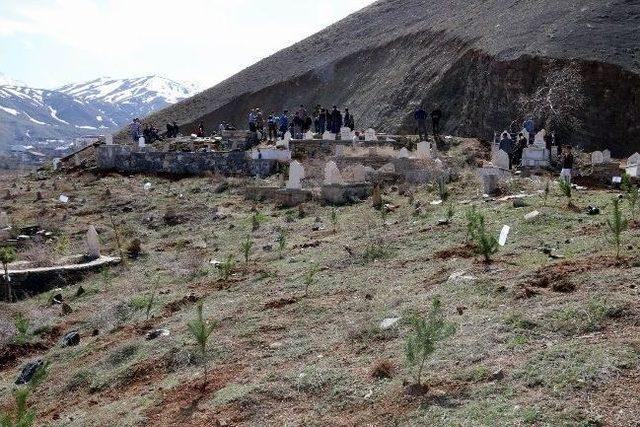 Hakkari’de Yeşillendirme Çalışmaları