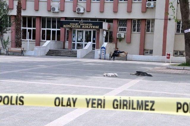 Köyceğiz’de Oylar Yeniden Sayılıyor