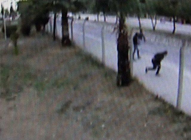 (&ouml;zel Haber) &Ouml;ğrencilerin  kız  Kavgası Kamerada 1