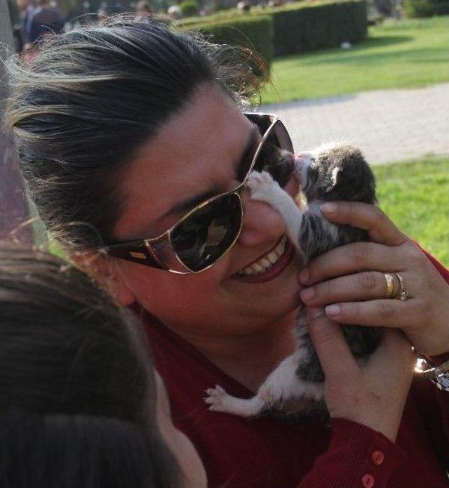 (&ouml;zel Haber) Bankayı Polise A&ccedil;tırıp İ&ccedil;erideki Kedileri Kurtardı 1