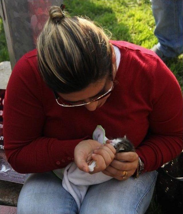 (&ouml;zel Haber) Bankayı Polise A&ccedil;tırıp İ&ccedil;erideki Kedileri Kurtardı 2