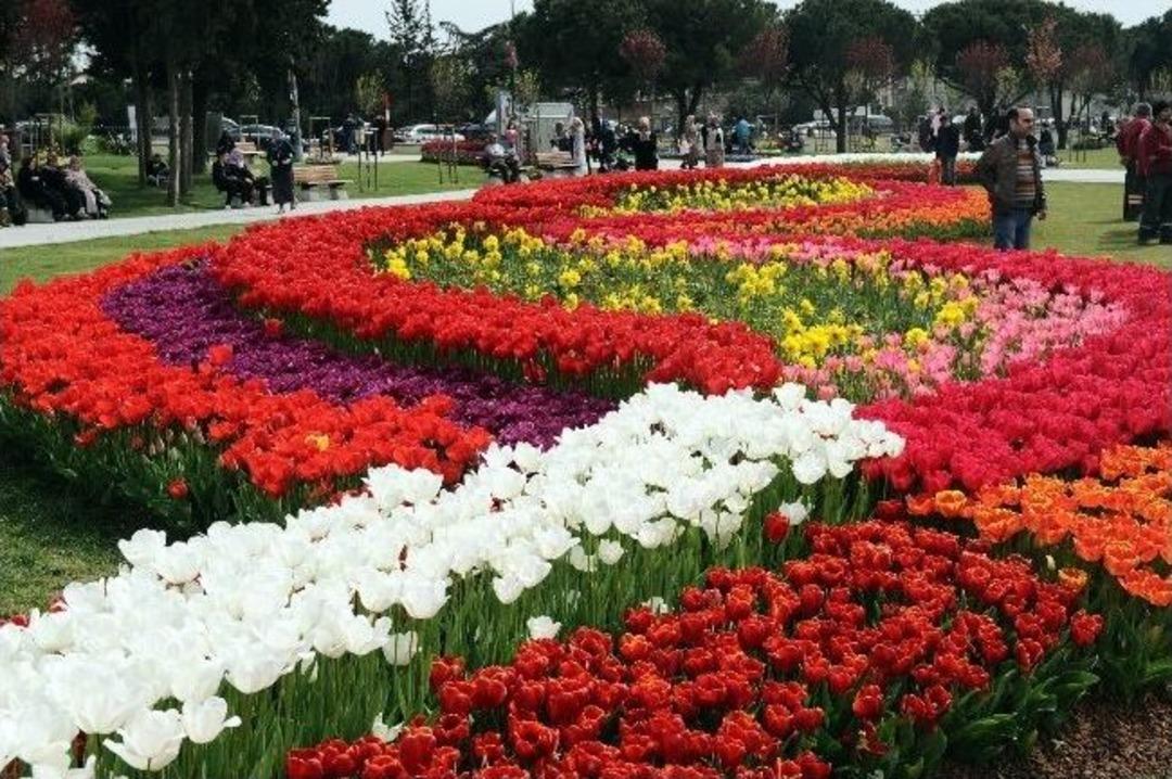 Lale Festivalinde Bisiklet Ve Paten Şov Nefes Kesti