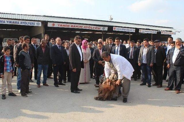 Başkan Uludağ Belediye Personeli İle Tanıştı 1