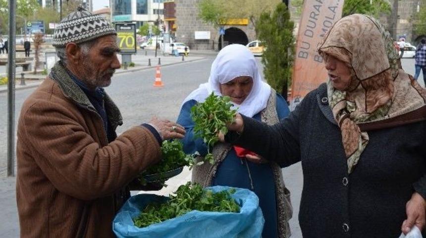 Ge&ccedil;imini Topladığı Bitkileri Satarak Sağlıyor