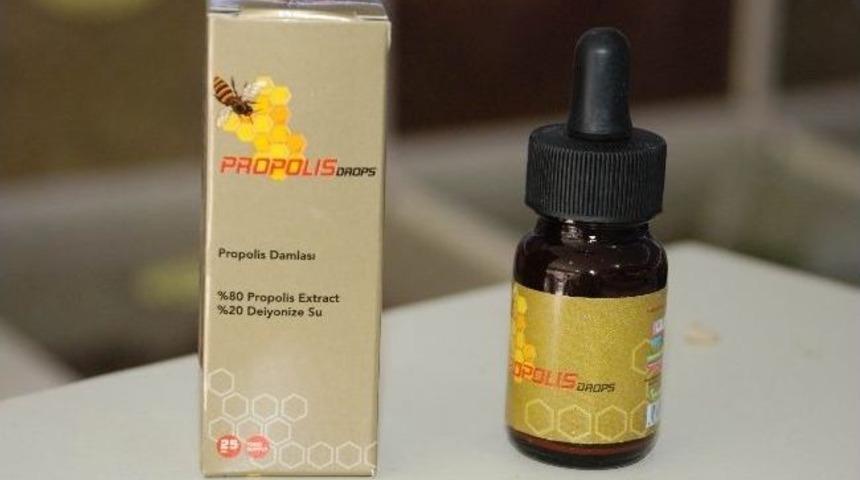 Kanser H&uuml;crelerinin Yenilenmesine Propolisli &Ccedil;&ouml;z&uuml;m