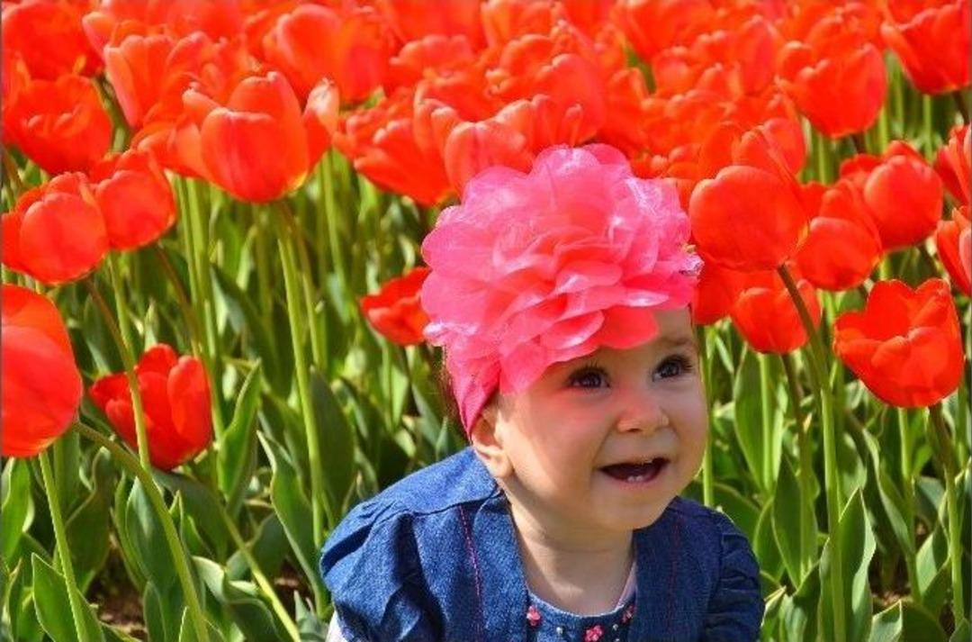 7. Lale Festivali Renkli G&ouml;r&uuml;nt&uuml;lere Sahne Oldu