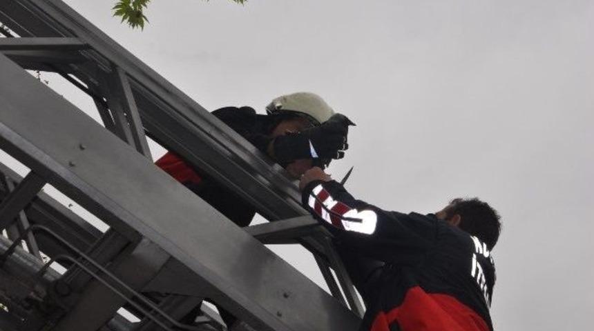 Çatıya Sıkışan Kargayı İtfaiye Kurtardı