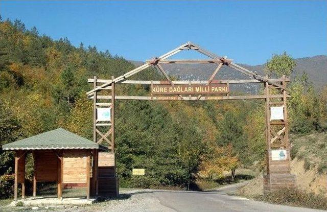 Ulus&rsquo;ta K&uuml;re Dağevi&rsquo;nin A&ccedil;ılışı Yapıldı 1