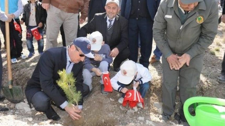 Galibi Vakfı &Uuml;yeleri Fidan Dikti