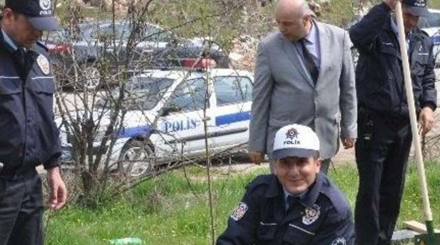 Polisler Fidan Dikti
