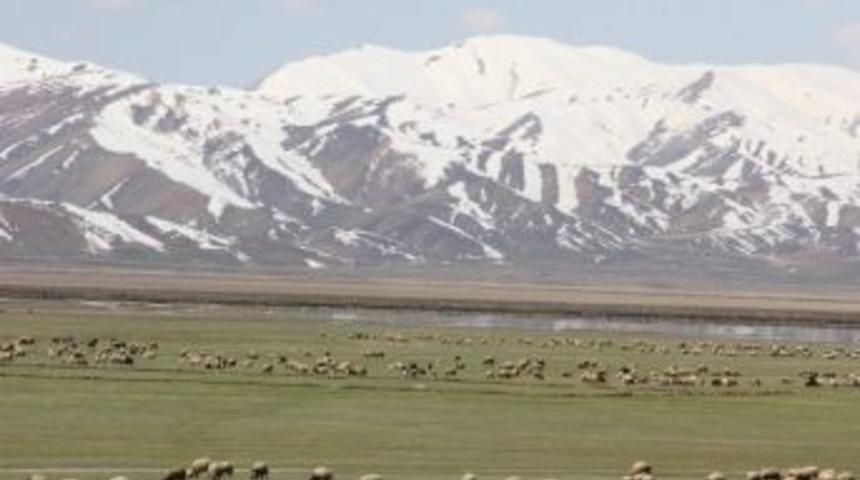 Y&uuml;ksekova Kuş Cenneti Yeniden Canlandı