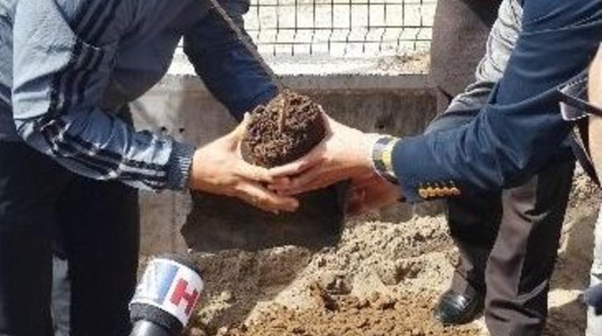 Akm&uuml;b Okul Bah&ccedil;esine 300 Ağa&ccedil; Dikti