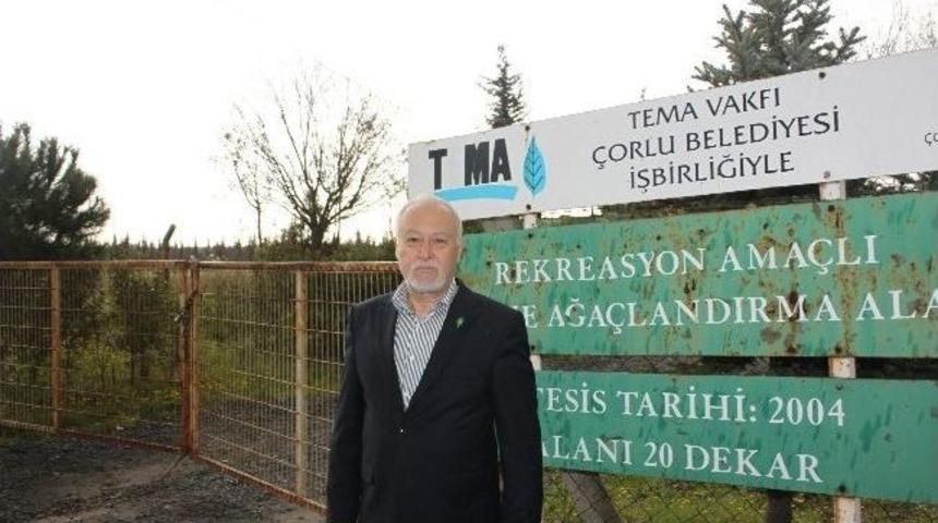 Tema Ormanından Fidan &Ccedil;alındığı İddiası