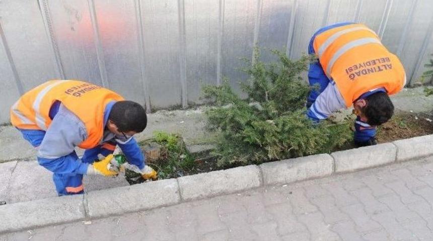 Z&uuml;beyde Hanım Mahallesi&rsquo;nde Bahar Temizliği
