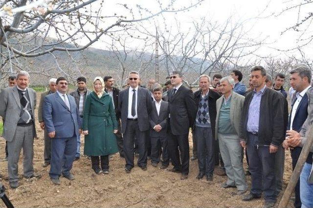 Manisalı Çiftçiler Tarla Okullarında Eğitiliyor