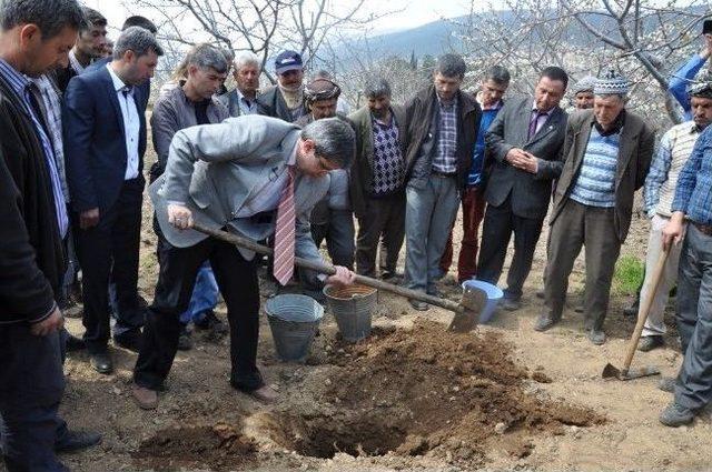 Manisalı Çiftçiler Tarla Okullarında Eğitiliyor