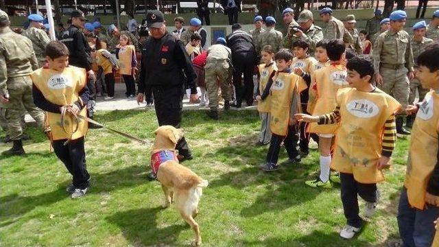 Tema Gönüllüleri Asker İle Birlikte Fidan Dikti