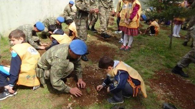 Tema Gönüllüleri Asker İle Birlikte Fidan Dikti