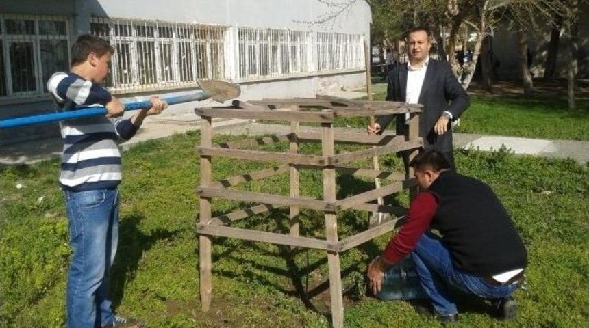 Okullar Hayat Buluyor