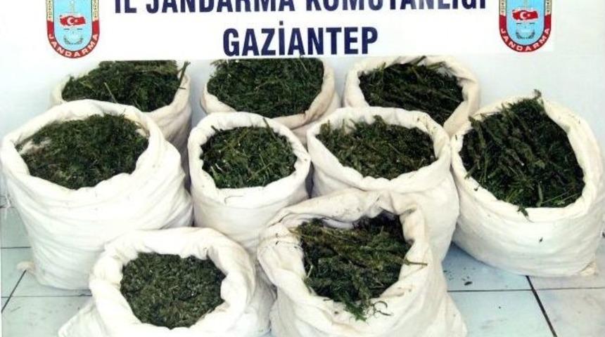 Gaziantep&rsquo;te Jandarma Yılın İlk 3 Ayında Ka&ccedil;ak&ccedil;ılara Ge&ccedil;it Vermedi