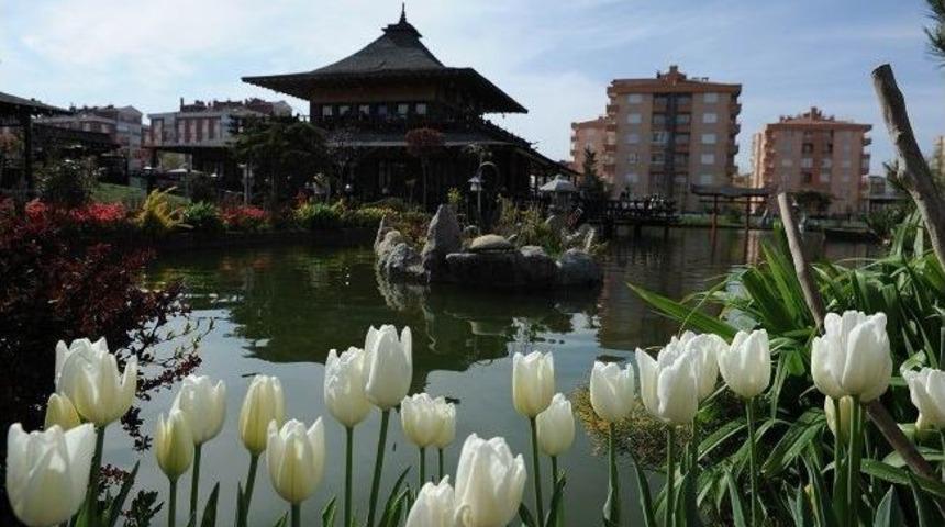 Konya&rsquo;da &ldquo;lale Mevsimi&rdquo;