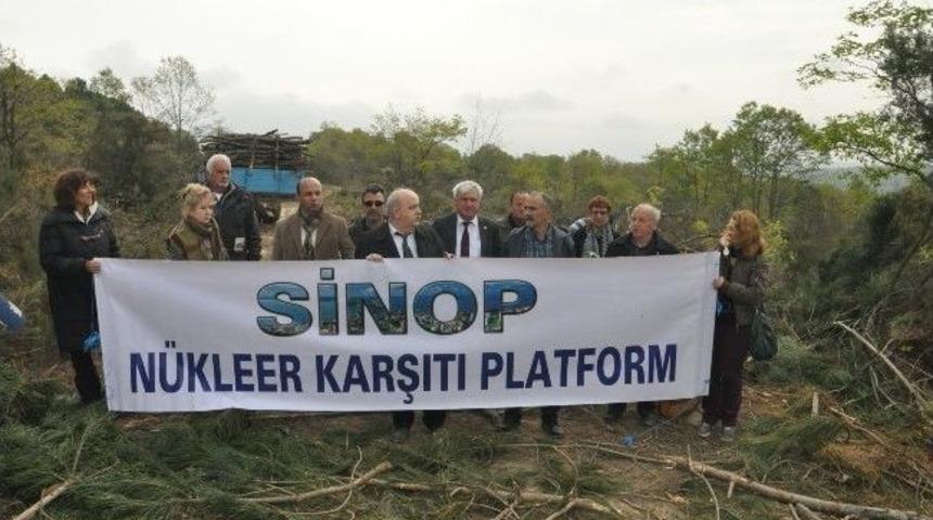 &Ccedil;evreciler Sinop N&uuml;kleer Sahasında Ağa&ccedil;ların Kesilmesini Protesto Etti