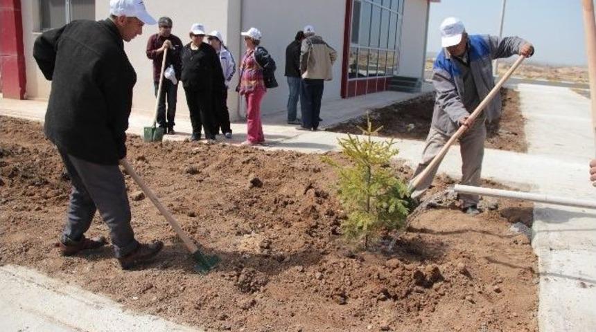 Alimoğlu K&uuml;lt&uuml;r Sanat Araştırma Derneği&rsquo;nden Ak&uuml;&rsquo;n&uuml;n Ağa&ccedil;landırılmasına Katkı
