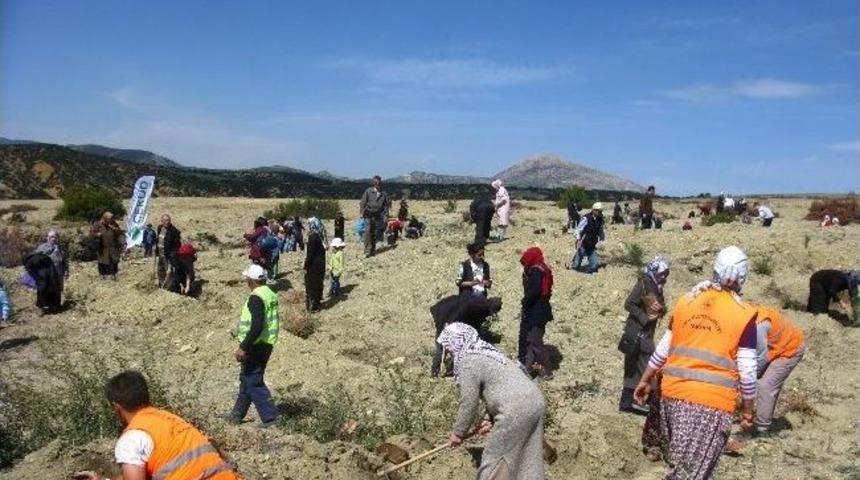 Bin Fidan Toprakla Buluştu