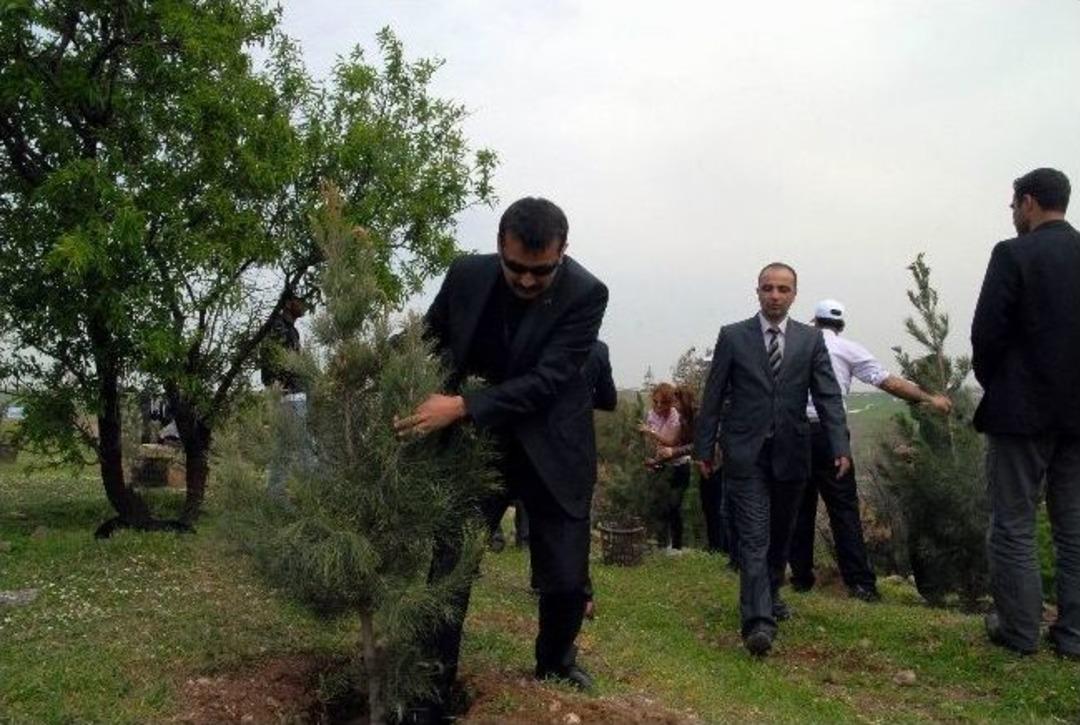 Cezalarını Fidan Dikerek &Ccedil;ektiler