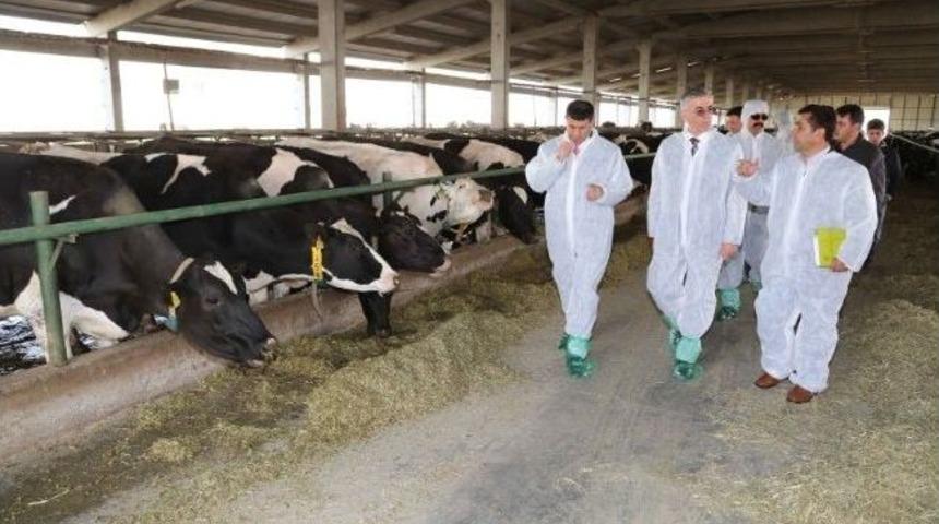 Vali Ataklı'dan Tarım İşletmesine Ziyaret