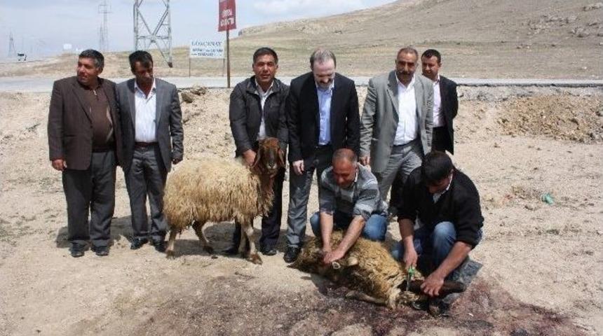 Tuşba Belediye Başkanı Do&ccedil;. Dr. &Ouml;zg&ouml;k&ccedil;e Kurban Keserek G&ouml;reve Başladı