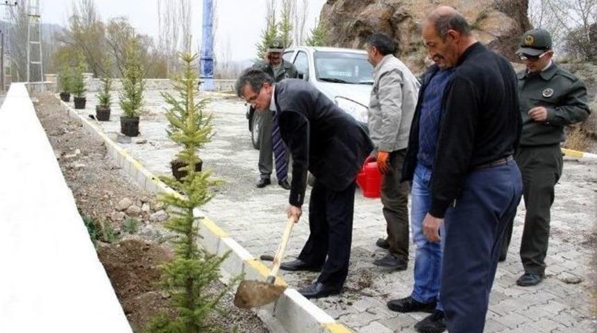 Oltu Orman İşletme M&uuml;d&uuml;rl&uuml;ğ&uuml;nden &Ouml;rnek Davranış