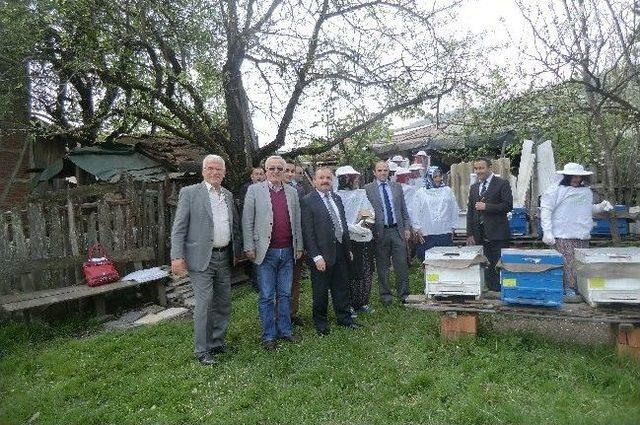 Düzceli Kadın Çiftçilere Arıcılık Eğitimi