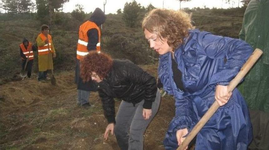 Kastamonu&rsquo;da Gard Ormanı Oluşturuldu