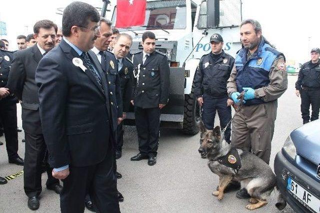 Trafik Kazaları Sonucu Ülkemizde Yılda Ortalama 7 Bin İnsan Hayatını Kaybediyor