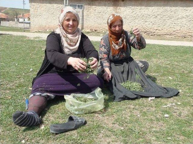 Yozgat’ta Madımak Tezgahlardaki Yerini Aldı